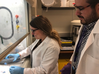 Two students working in the lab